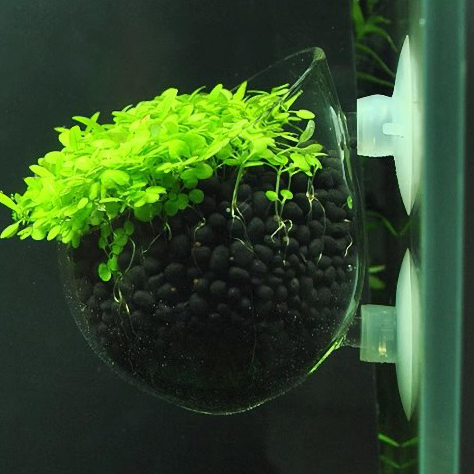 Aquarium Fish Pot - Держатель для аквариумных растений, стеклянный горшок