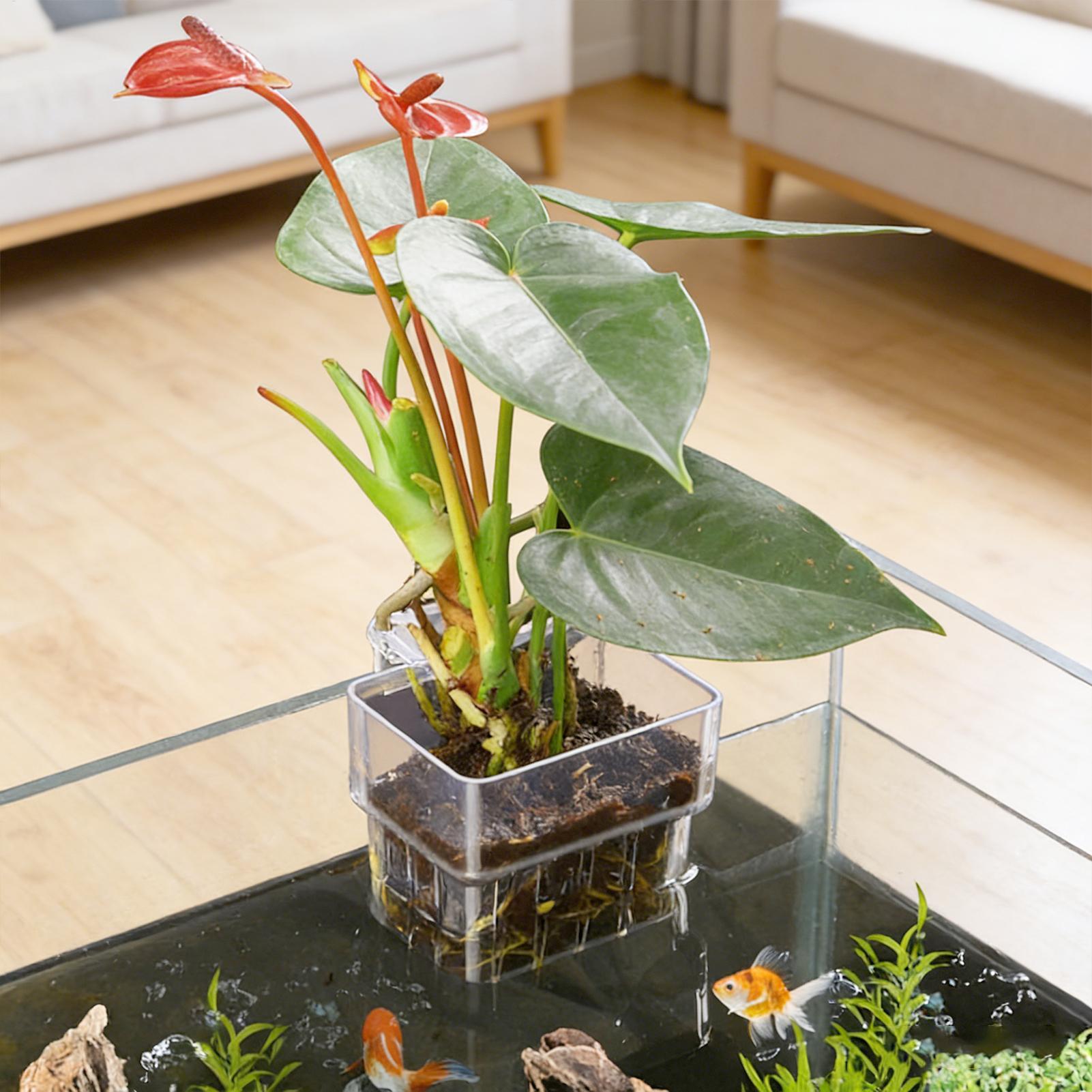 Aquarium Fish Pot - Прозрачная подвесная корзина для аквариумных растений,