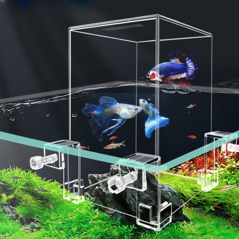 Aquarium Fish Pot - Творческие аквариумные резервуары с отрицательным давлением,