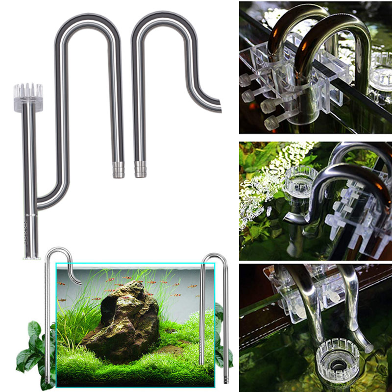 Aquarium Fish Images - Новый аквариум Лилия труба из нержавеющей