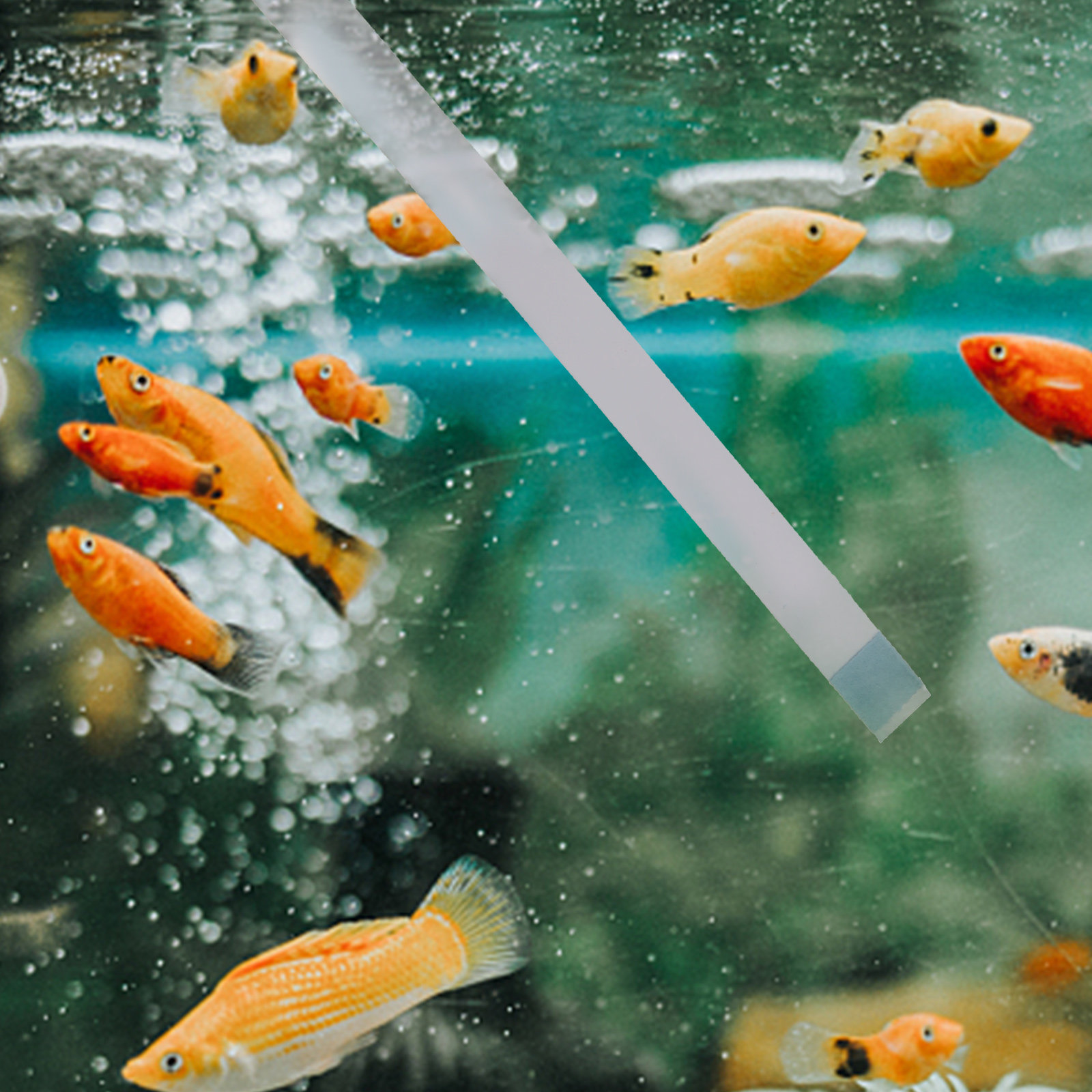 Aquarium Fish Pond - Тест-полоски для бассейнов, тестеры pH для