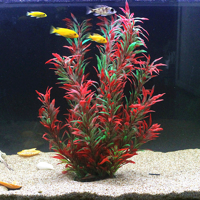 Aquarium Fish Quarantine - 50 см искусственный аквариум редкие растения