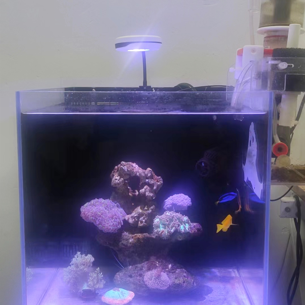 Светильник Spectra 20W Nano Cl – обзор и цена Refugium Light Nano