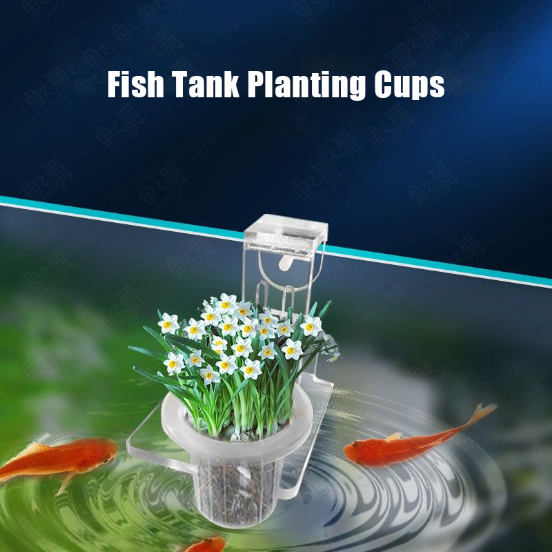 Чашки для посадки аквариума, г – обзор и цена Aquarium Fish Pot