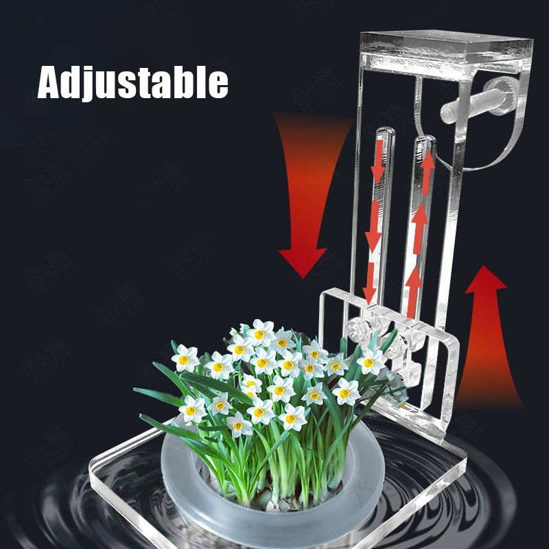 Чашки для посадки аквариума, г – обзор и цена Aquarium Fish Pot