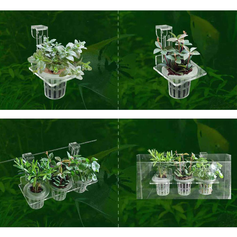 Чашки для посадки аквариума, г – обзор и цена Aquarium Fish Pot