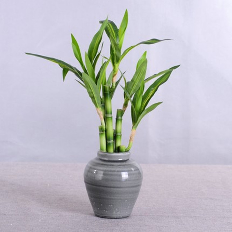 Новый 40 см искусственный счас – обзор и цена Aquarium Fish Pot