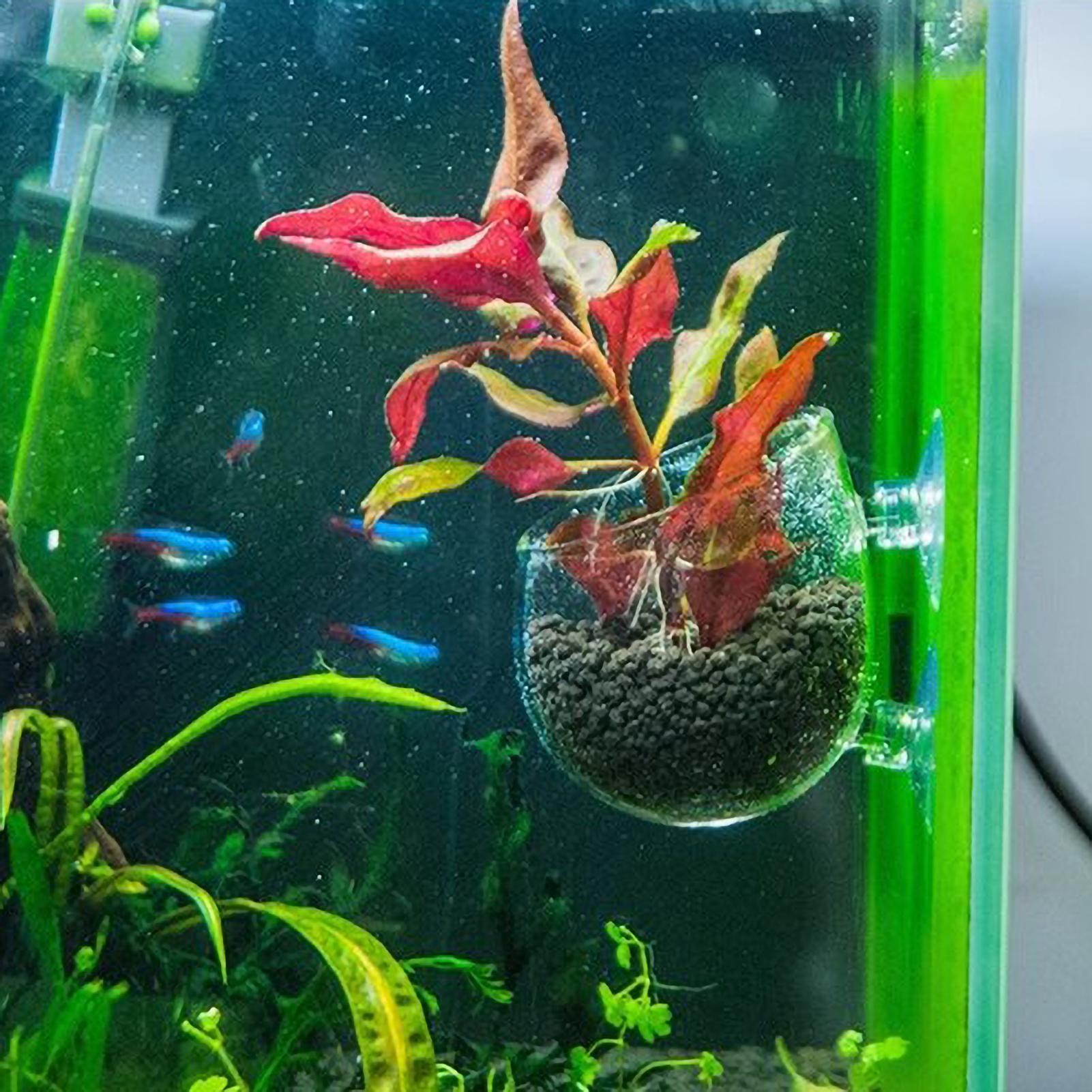 Держатель для аквариумных раст – обзор и цена Aquarium Fish Pot