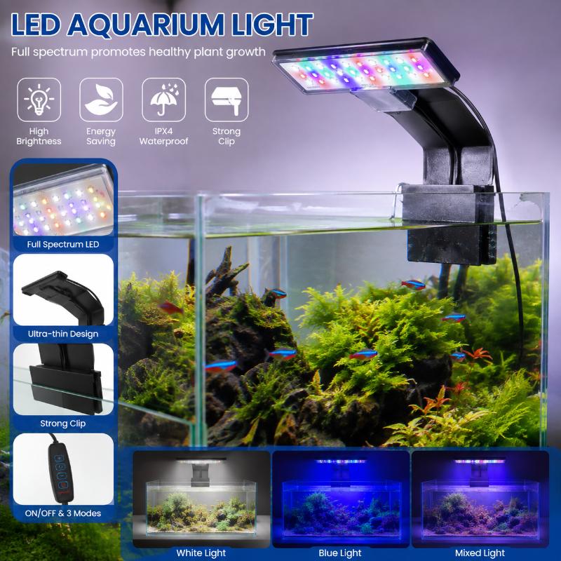Светодиодное освещение для акв – обзор и цена Aquarium Fish With Long Lifespan