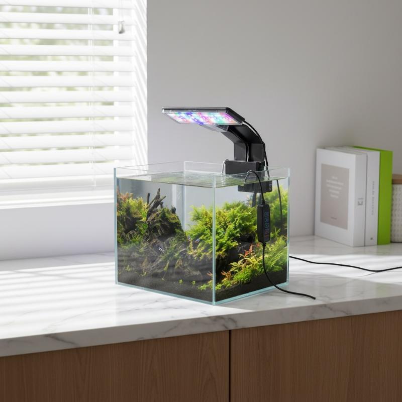 Светодиодное освещение для акв – обзор и цена Aquarium Fish With Long Lifespan