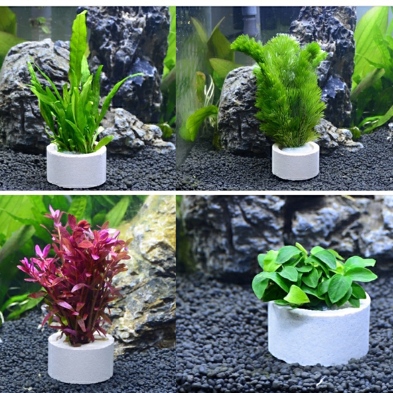 Керамическое кольцо для украше – обзор и цена Aquarium Fish Pot