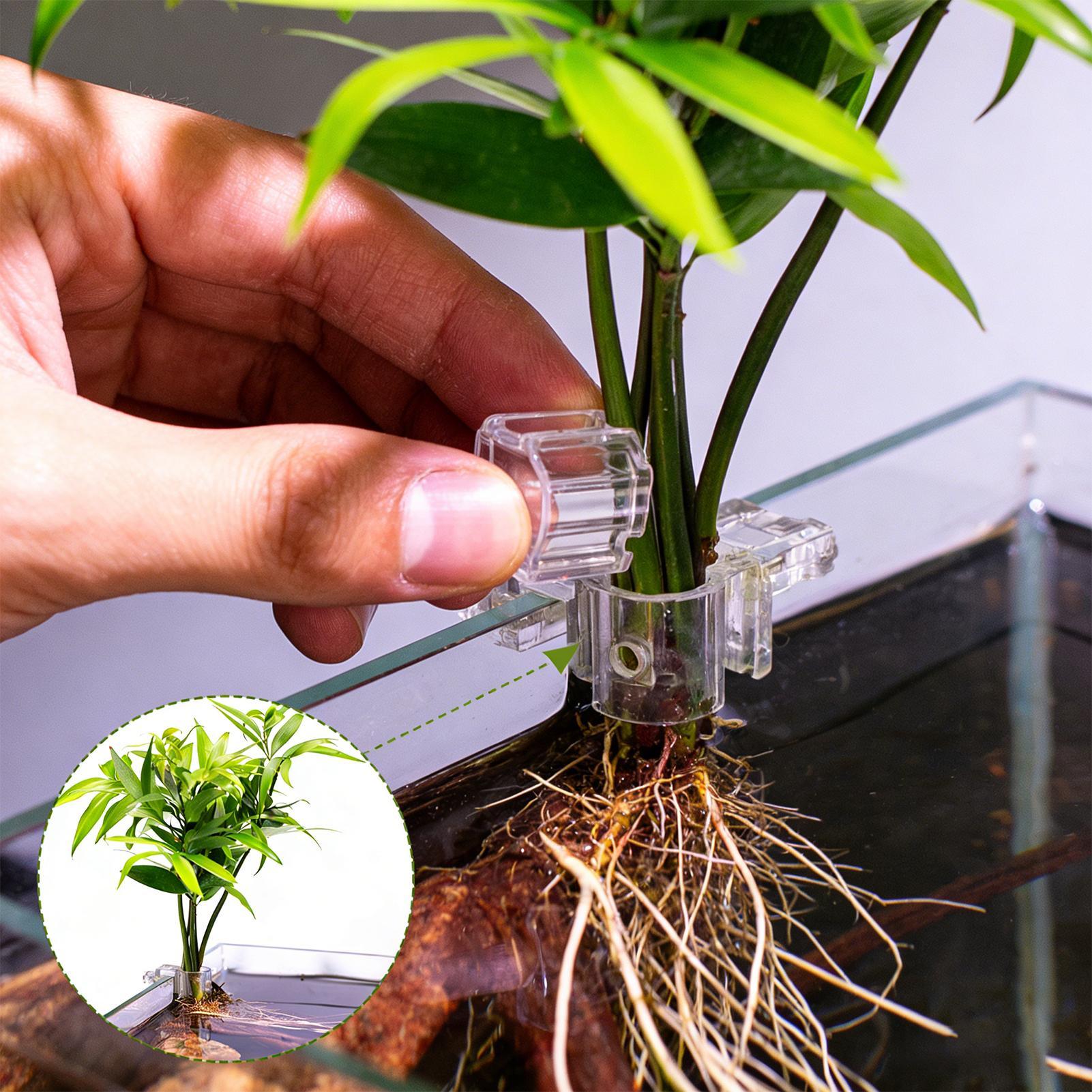 Мини-аквариум-кашпо, 6 шт., по – обзор и цена Aquarium Fish Pot