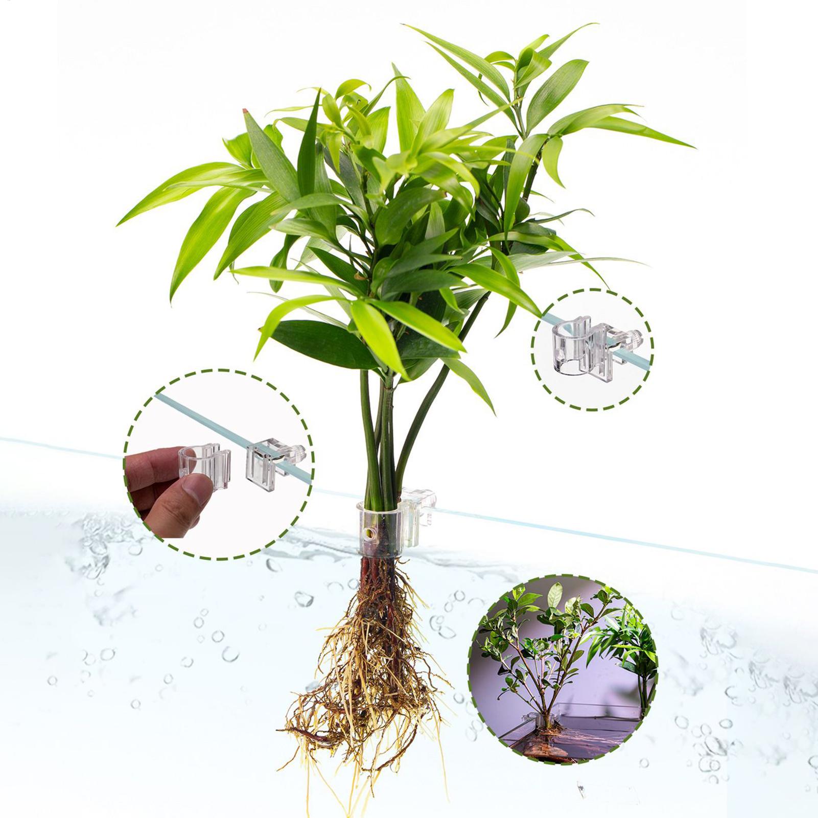 Мини-аквариум-кашпо, 6 шт., по – обзор и цена Aquarium Fish Pot