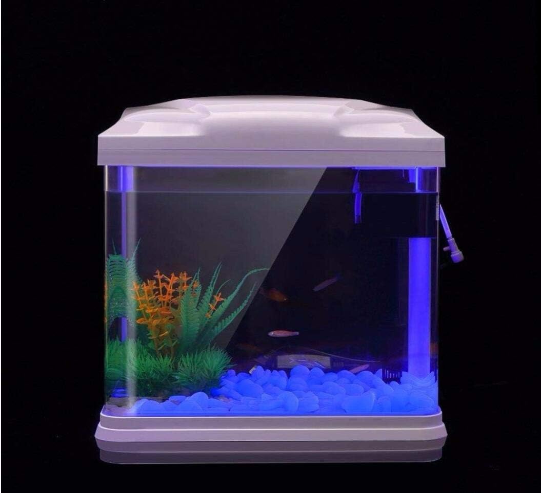Скели для аквариума, светящиес – обзор и цена Aquarium Fish Quarantine