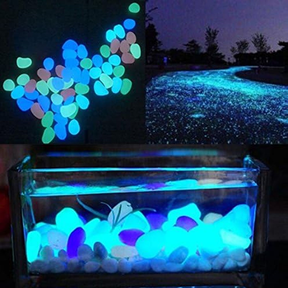Скели для аквариума, светящиес – обзор и цена Aquarium Fish Quarantine