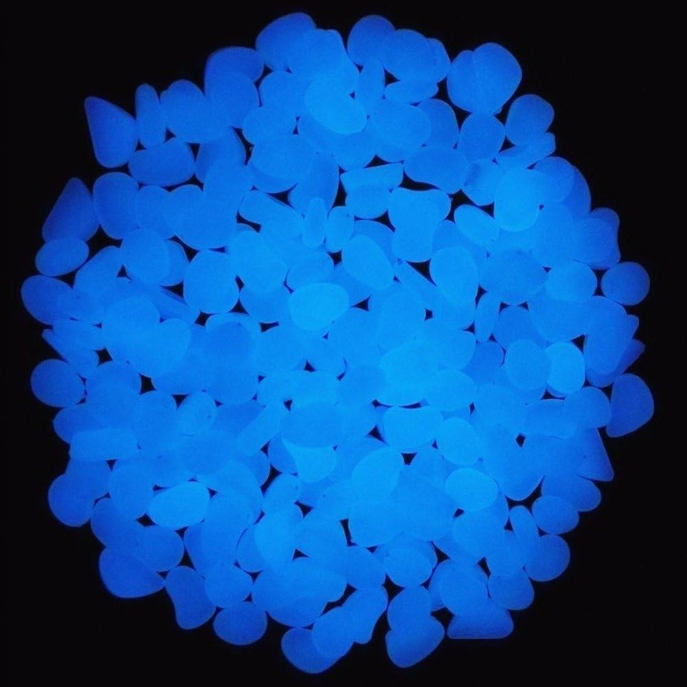 Скели для аквариума, светящиес – обзор и цена Aquarium Fish Quarantine