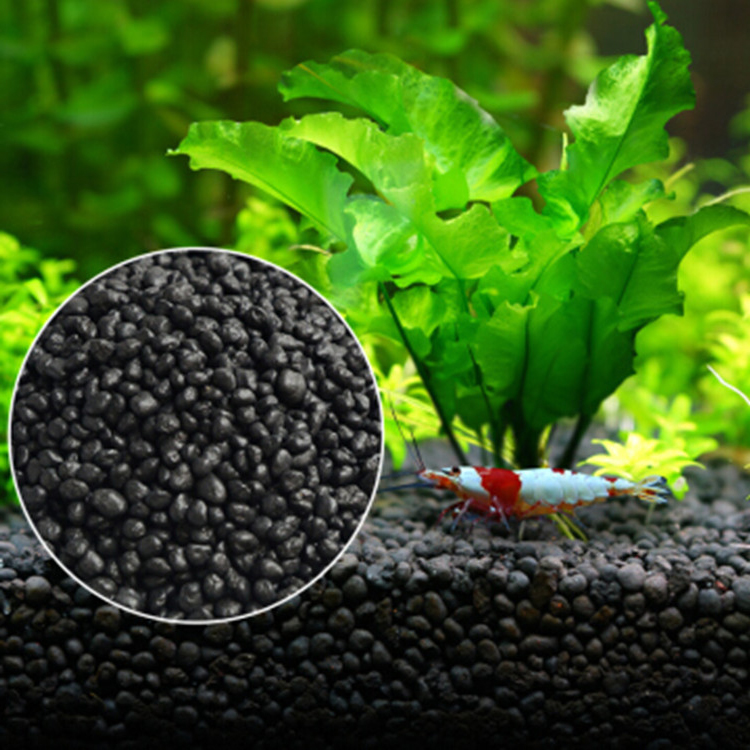 Семена аквариумных растений, п – обзор и цена Aquarium Fish Quarantine