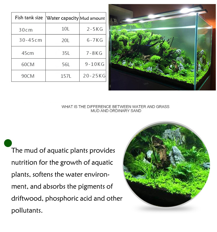 Семена аквариумных растений, п – обзор и цена Aquarium Fish Quarantine