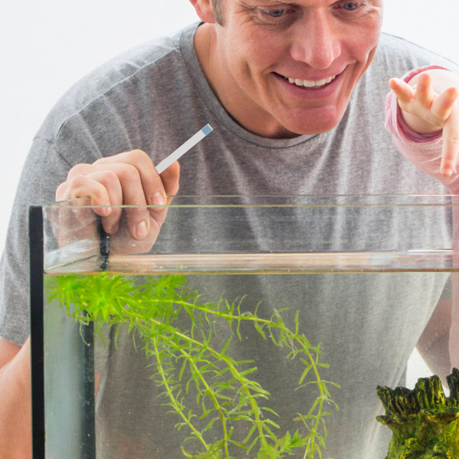Тест-полоски для бассейнов, те – обзор и цена Aquarium Fish Pond