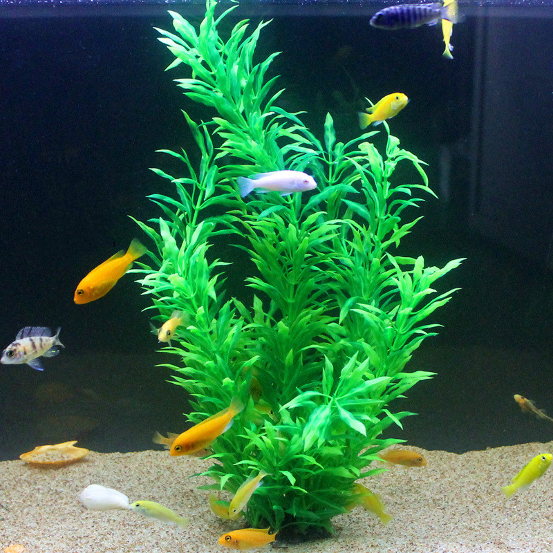 50 см искусственный аквариум р – обзор и цена Aquarium Fish Quarantine