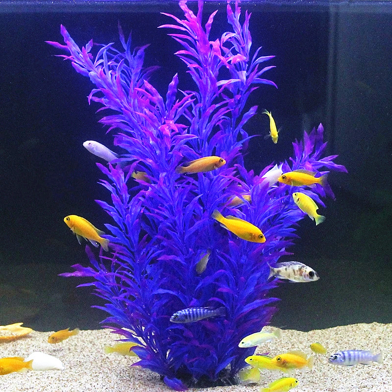 50 см искусственный аквариум р – обзор и цена Aquarium Fish Quarantine