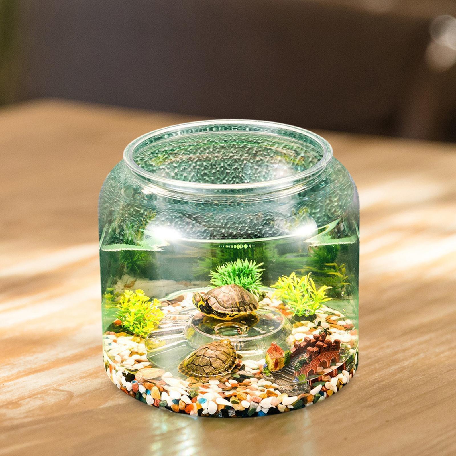 Настольный террариум для череп – обзор и цена Draw Fish Aquarium