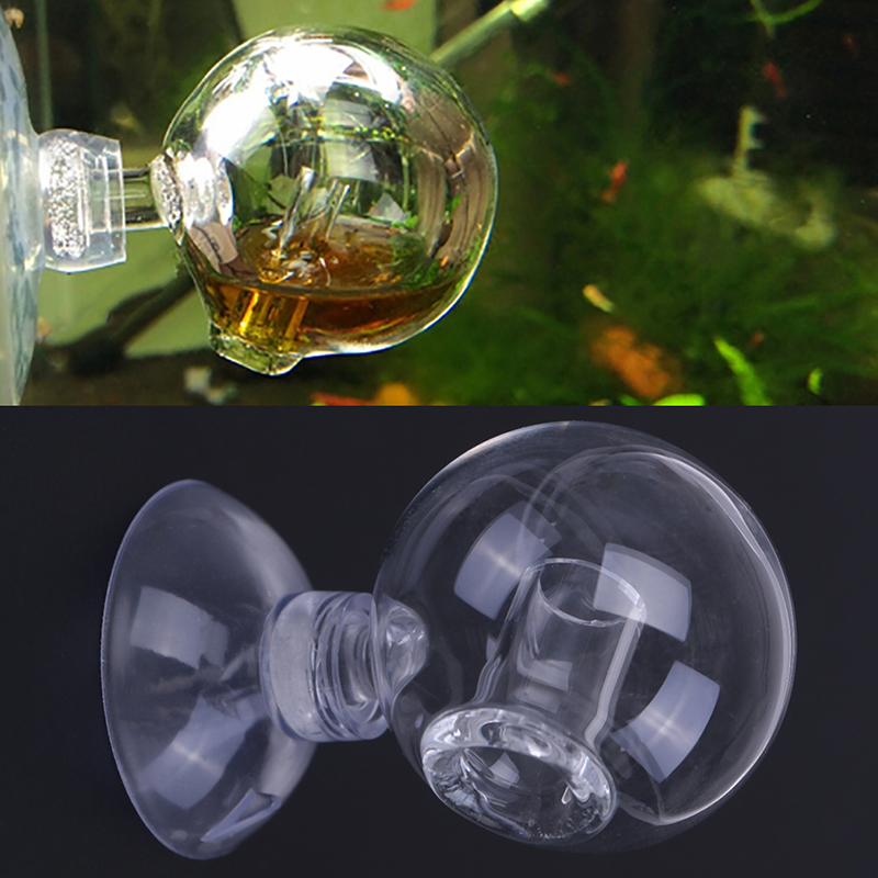 Диффузное стекло CO2 для прове – обзор и цена Aquarium Fish Quarantine