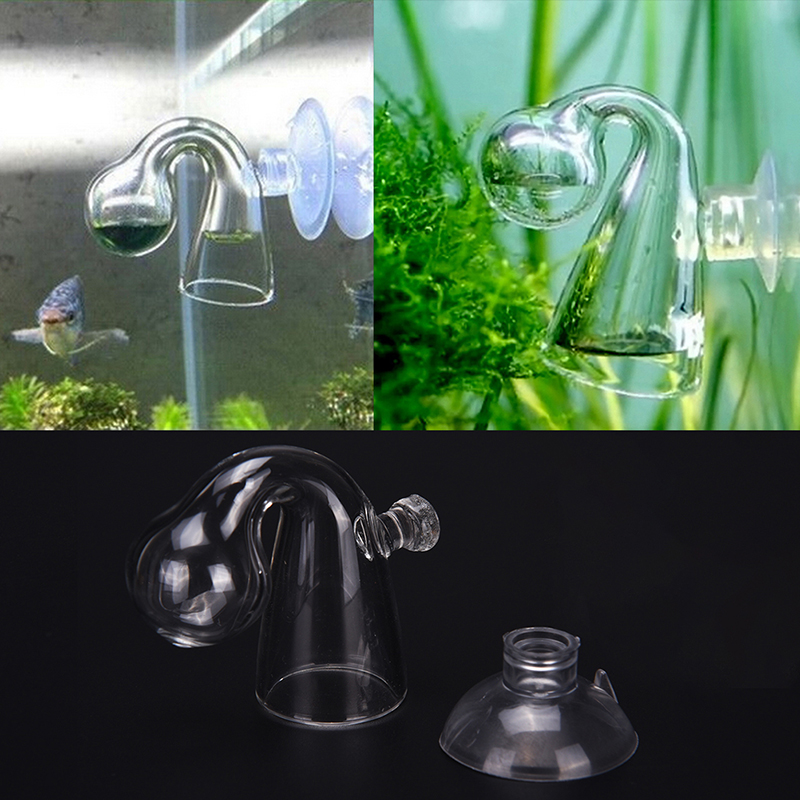 Диффузное стекло CO2 для прове – обзор и цена Aquarium Fish Quarantine