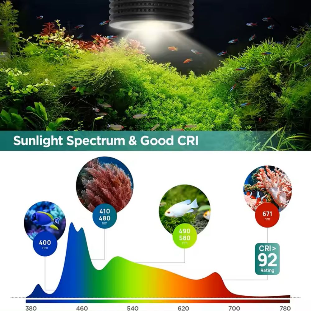 Lominie Asta 20 пресноводный 1 – обзор и цена Refugium Light Nano