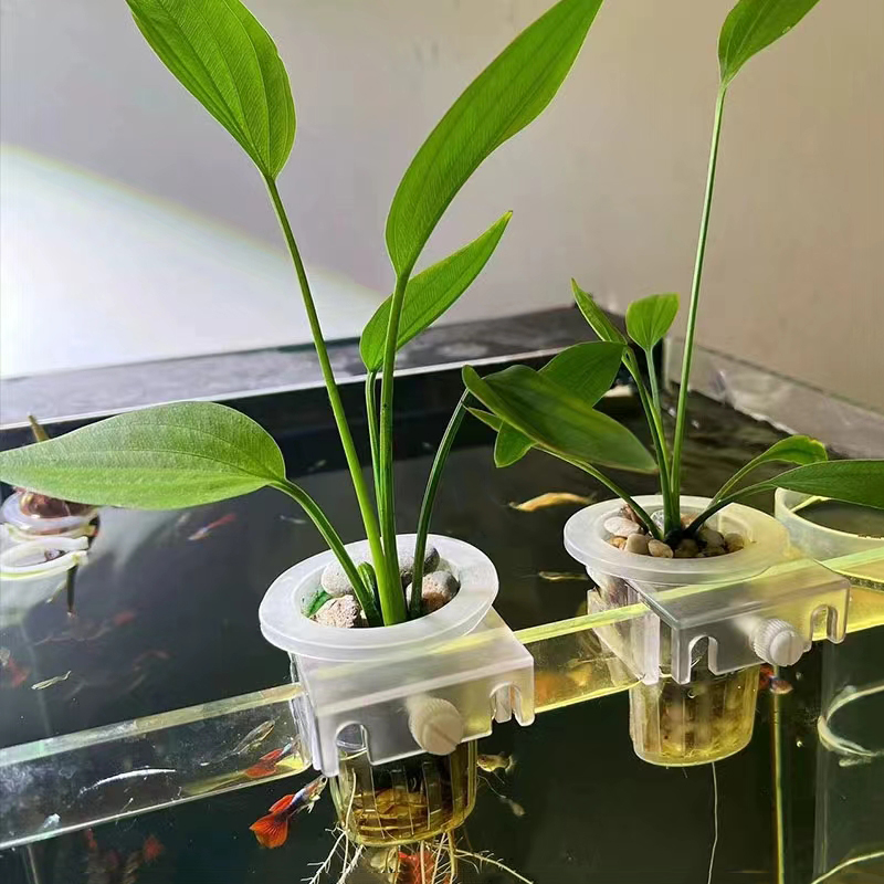 Корзина для посадки аквариума, – обзор и цена Aquarium Fish Pot