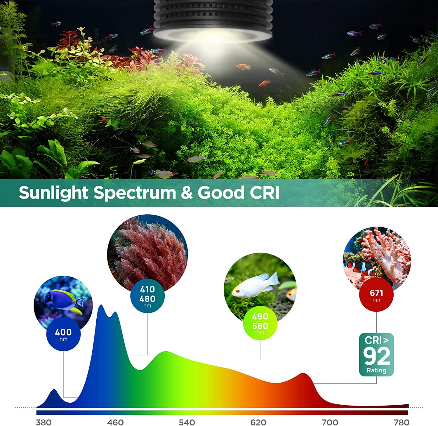 Lominie Asta 20 пресноводный 1 – обзор и цена Refugium Light Nano