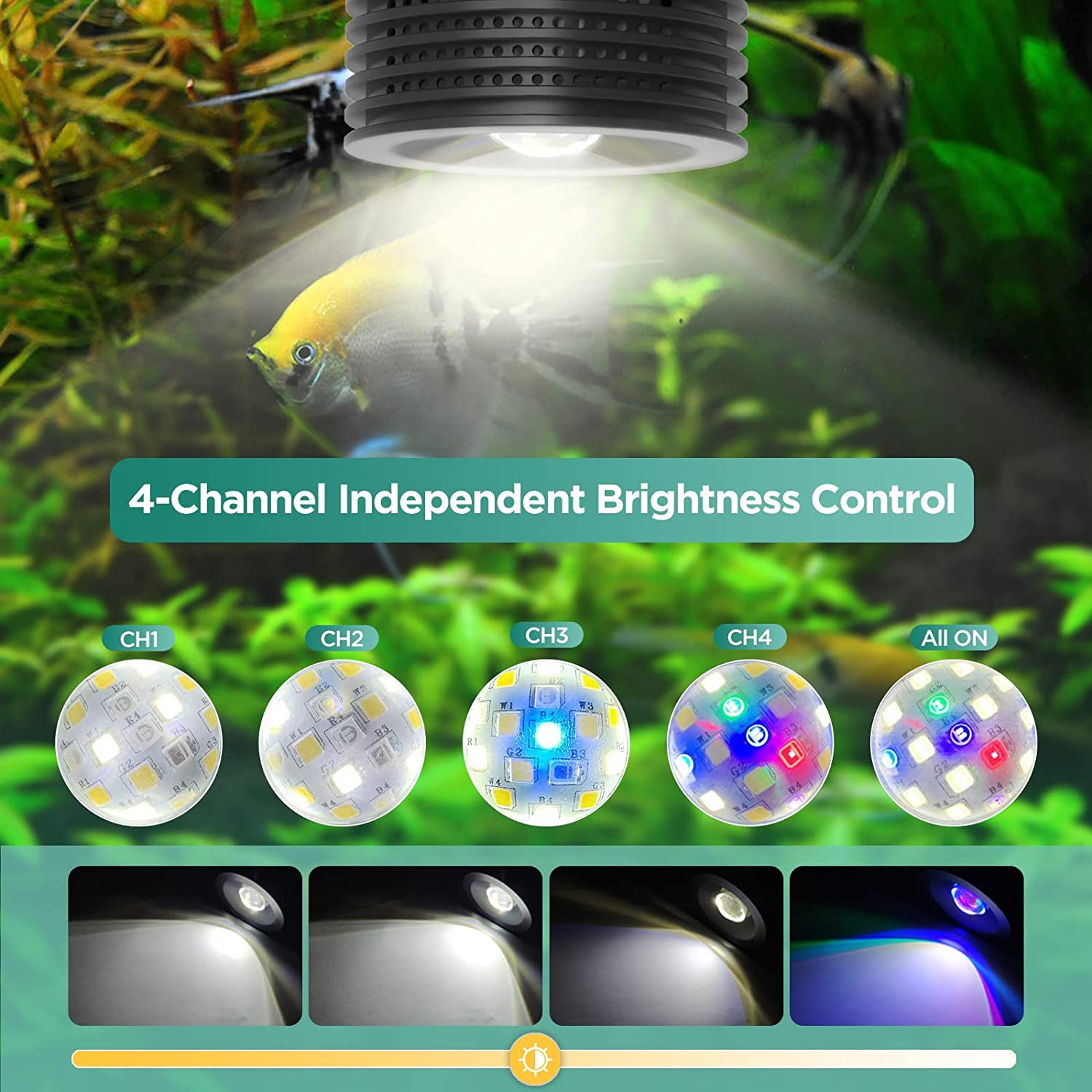 Lominie Asta 20 пресноводный 1 – обзор и цена Refugium Light Nano